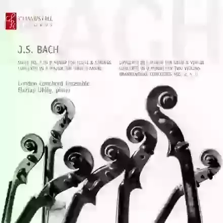 J S Bach Concertos 